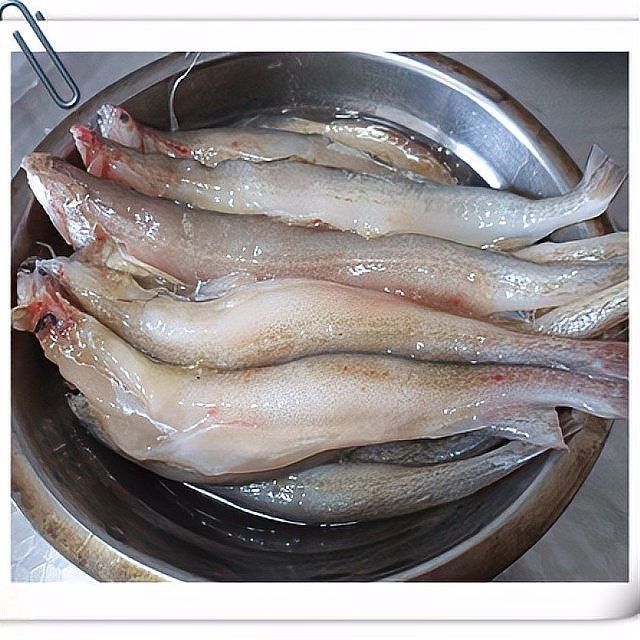 如何拍攝椒鹽龍魚的高清圖片（拍攝椒鹽龍魚的高清圖片需要一些技巧和設備和設備）