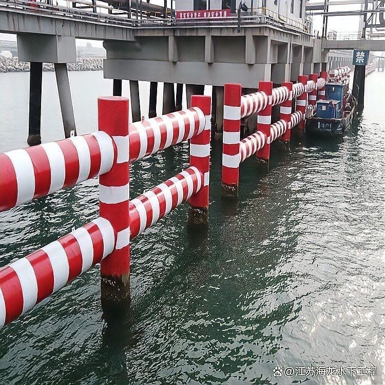 如何拍攝椒鹽龍魚的高清圖片（拍攝椒鹽龍魚的高清圖片需要一些技巧和設備和設備）