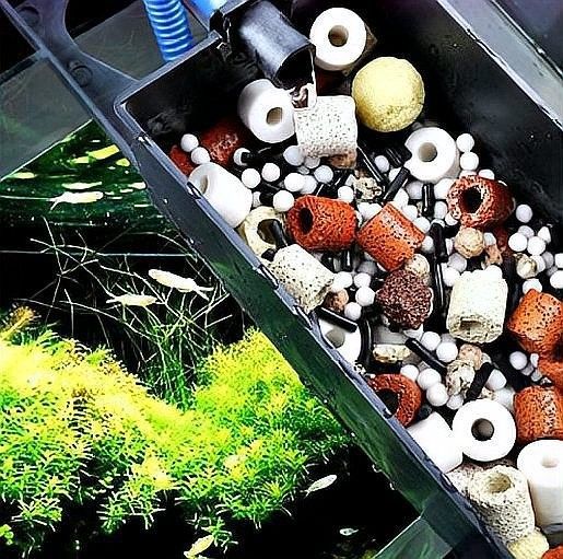 清洗濾材時需要注意什么（養魚老道，新買的魚缸濾材要不要清洗怎么清洗）