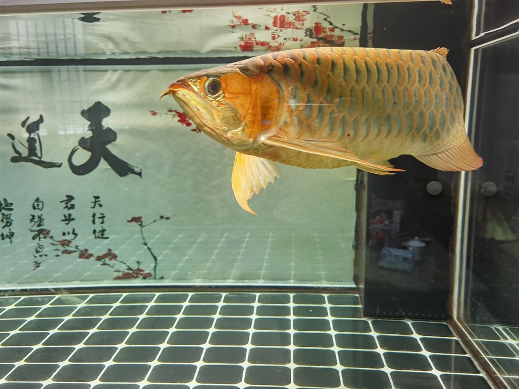（全球氣候變化對農業(yè)產生了深遠影響，對農業(yè)產生了深遠影響）