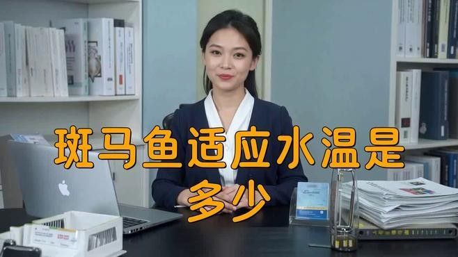 斑馬魚和龍魚可以混養嗎？（斑馬魚和龍魚可以混養嗎）