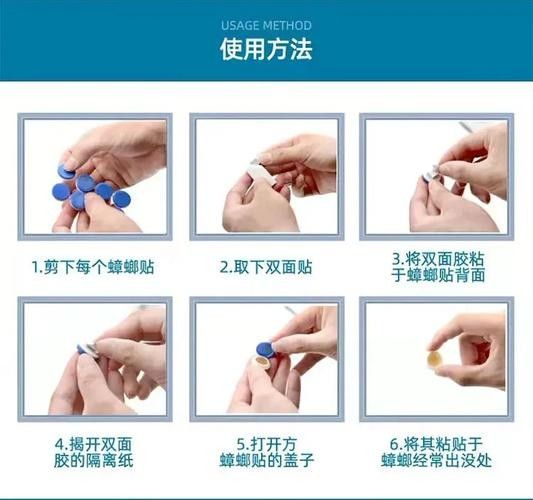 如何消毒活體餌料（體餌料的消毒是確保水產養殖過程中水質安全和預防疾病傳播的重要步驟）
