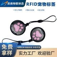 龍魚芯片費(fèi)用是多少（龍魚芯片價格是多少？）