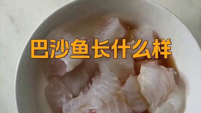 如何區分雪龍魚和巴沙魚（巴沙魚和龍利魚的區別，弄懂少花冤枉錢水墨尚食聽）