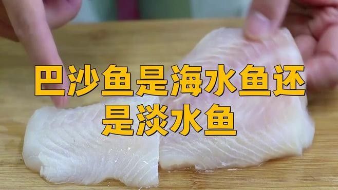 如何區分雪龍魚和巴沙魚（巴沙魚和龍利魚的區別，弄懂少花冤枉錢水墨尚食聽）