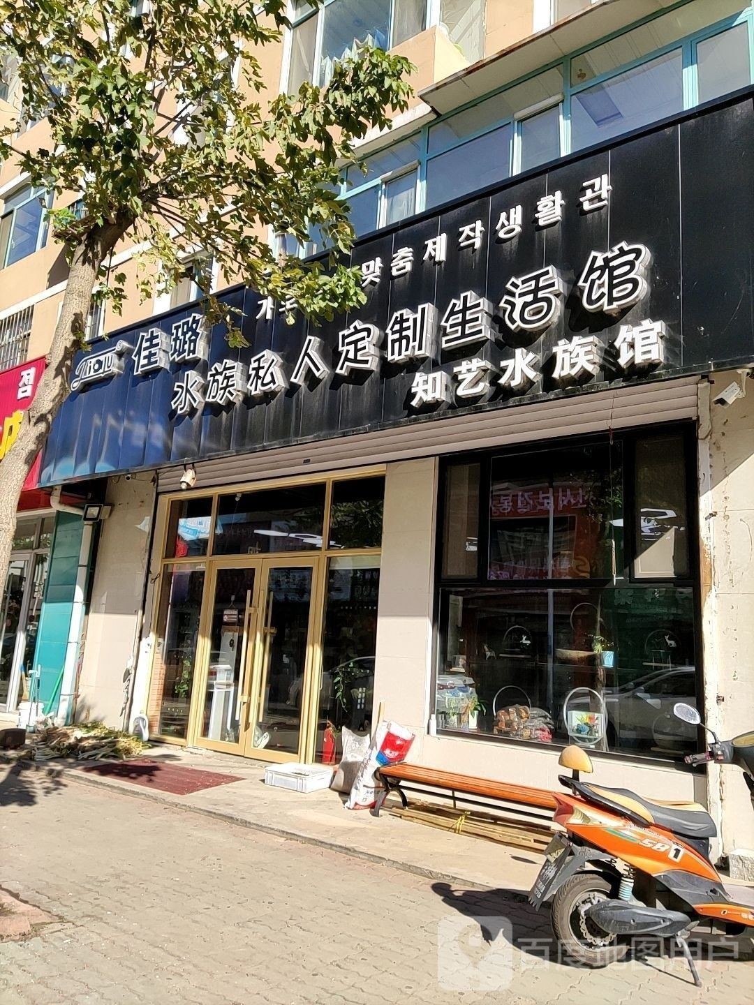 琿春哪個水族館龍魚好？祥龍魚場龍魚（琿春祥龍魚場是當地著名水族館之一）