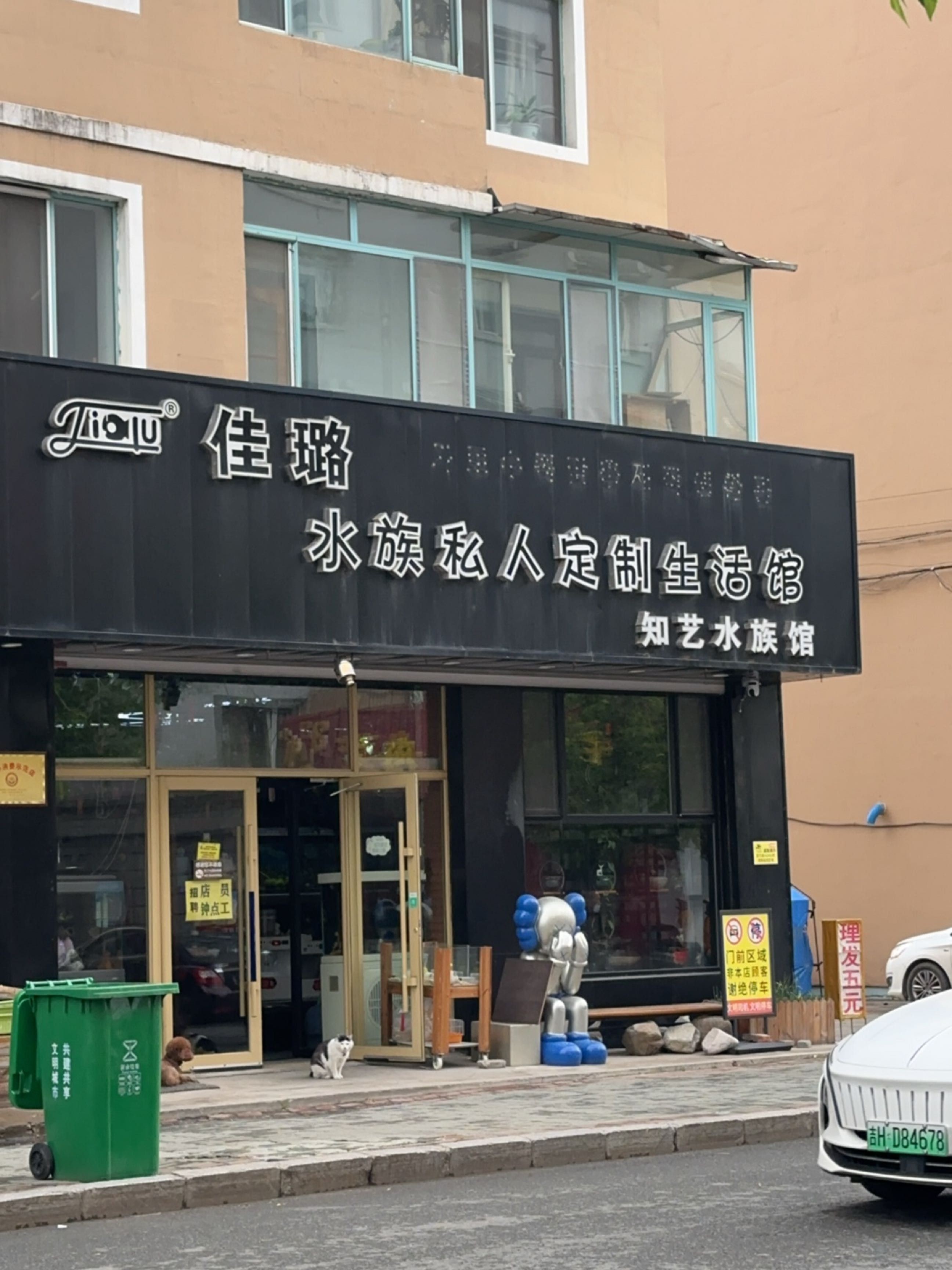 琿春哪個水族館龍魚好？祥龍魚場龍魚（琿春祥龍魚場是當地著名水族館之一）