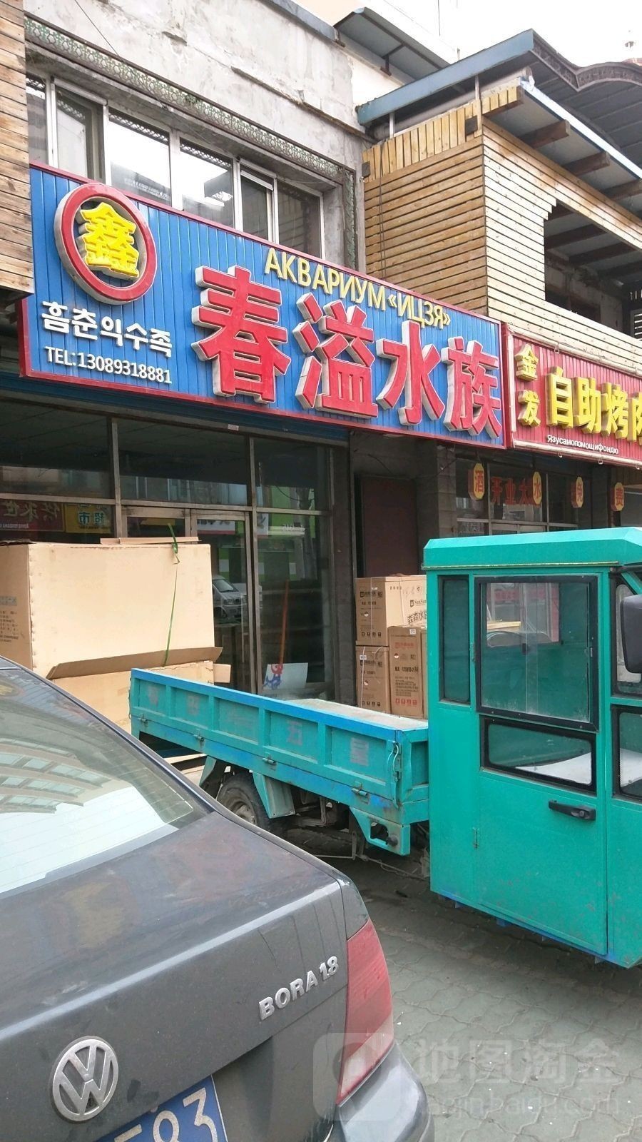 能再詳細解釋幾句嗎，生成一段100-25,牽牛花像一個個小喇叭 能再詳細解釋幾句嗎，生成一段100-25,牽牛花像一個個小喇叭 龍魚百科 第1張