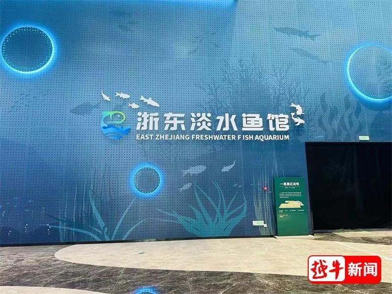 紹興哪個水族館龍魚好？祥龍魚場龍魚（紹興市祥龍魚場是當地知名的水族館之一）