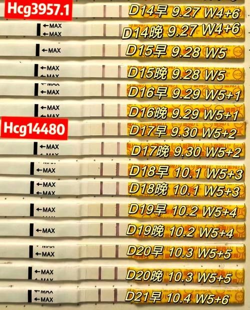 試紙和試劑套裝的價格差異大嗎（試劑套裝的價格差異大嗎，）