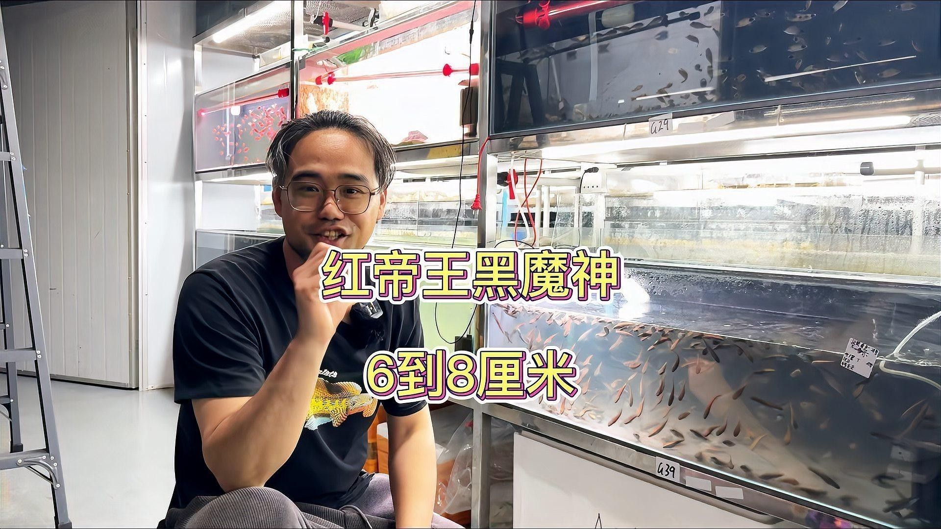如何挑選健康的紅帝王雷龍魚（健康的紅帝王雷龍魚是確保其水族成長的關鍵）
