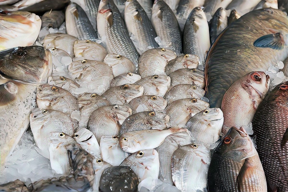 紅龍魚翹頭和翹嘴哪個更稀有（如何區分龍魚翹頭和翹嘴？）