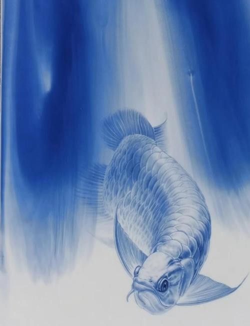 如何找到高清的龍魚背景圖（如何找到高清龍魚背景圖）