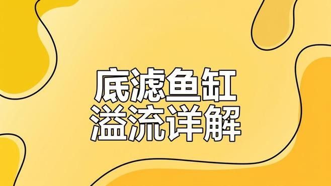 底濾系統中溢流區的作用是什么？（搜狐溢流式底濾缸工作原理全解析魚缸底濾6大詳細解說）