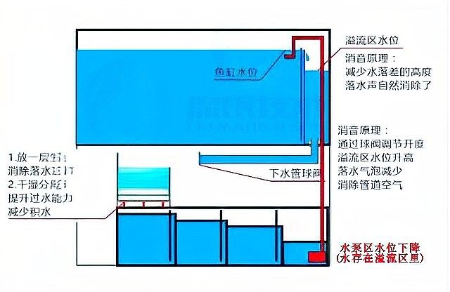底濾系統中溢流區的作用是什么？（搜狐溢流式底濾缸工作原理全解析魚缸底濾6大詳細解說）