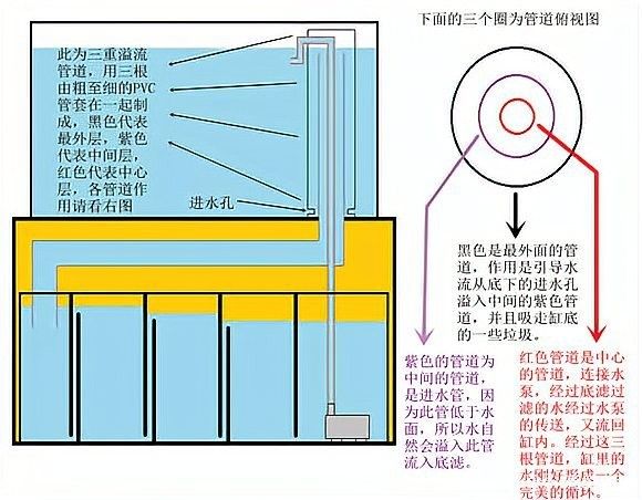 底濾系統中溢流區的作用是什么？（搜狐溢流式底濾缸工作原理全解析魚缸底濾6大詳細解說）
