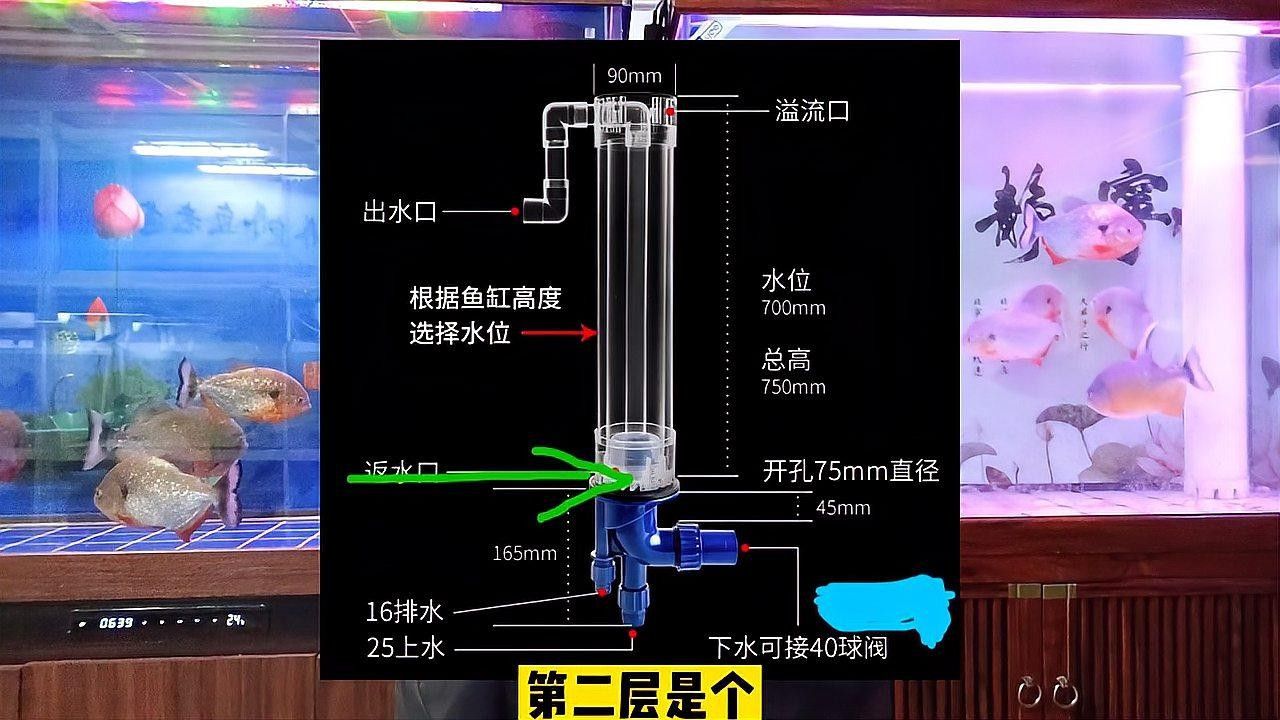 底濾系統中溢流區的作用是什么？（搜狐溢流式底濾缸工作原理全解析魚缸底濾6大詳細解說）