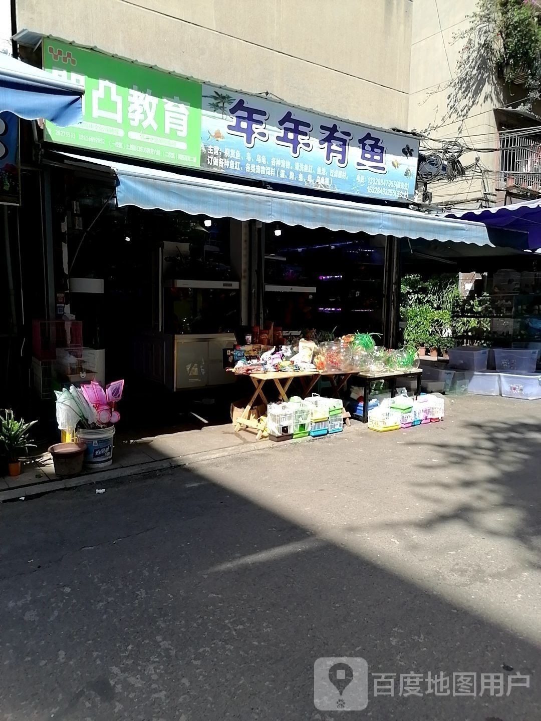 雁江哪個水族館龍魚好？祥龍魚場龍魚（廣州龍魚祥龍魚場） 雁江哪個水族館龍魚好？祥龍魚場龍魚（廣州龍魚祥龍魚場） 龍魚百科 第3張