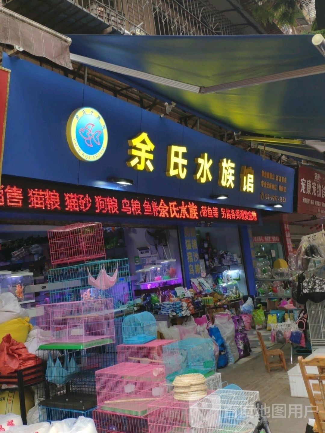 雁江哪個水族館龍魚好？祥龍魚場龍魚（廣州龍魚祥龍魚場） 雁江哪個水族館龍魚好？祥龍魚場龍魚（廣州龍魚祥龍魚場） 龍魚百科 第2張