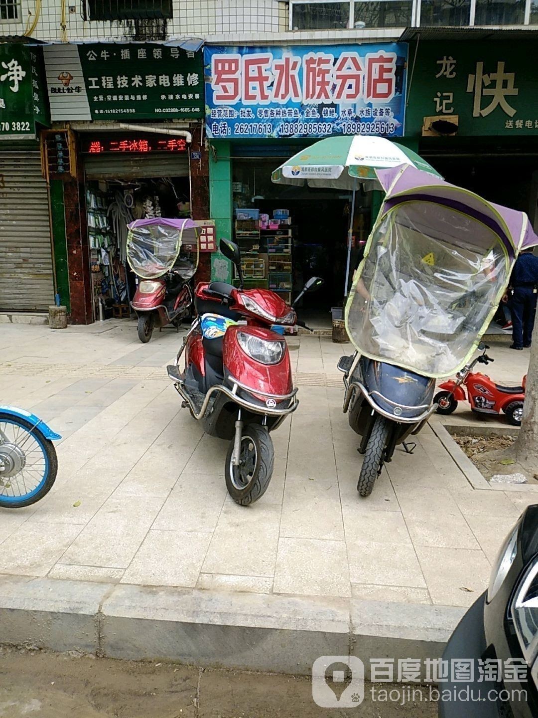 雁江哪個水族館龍魚好？祥龍魚場龍魚（廣州龍魚祥龍魚場） 雁江哪個水族館龍魚好？祥龍魚場龍魚（廣州龍魚祥龍魚場） 龍魚百科 第4張
