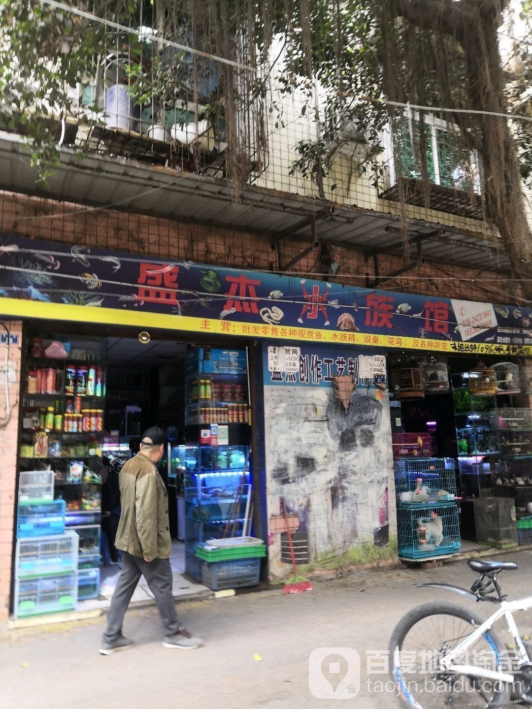 雁江哪個水族館龍魚好？祥龍魚場龍魚（廣州龍魚祥龍魚場） 雁江哪個水族館龍魚好？祥龍魚場龍魚（廣州龍魚祥龍魚場） 龍魚百科 第1張