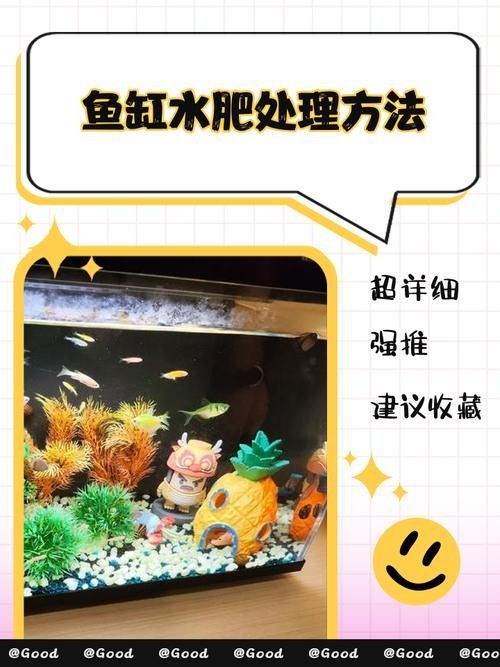 龍魚缸中的植物需要施肥嗎(魚缸中的植物是否需要施肥取決于多種因素) 龍魚百科 第4張 龍魚缸中的植物需要施肥嗎(魚缸中的植物是否需要施肥取決于多種因素) 龍魚缸中的植物需要施肥嗎(魚缸中的植物是否需要施肥取決于多種因素) 龍魚百科 第4張