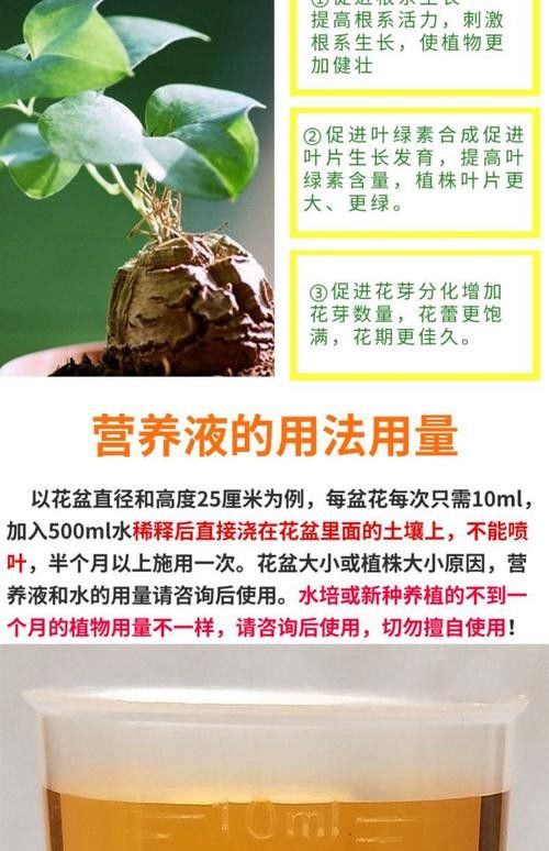 龍魚缸中的植物需要施肥嗎(魚缸中的植物是否需要施肥取決于多種因素) 龍魚百科 第6張 龍魚缸中的植物需要施肥嗎(魚缸中的植物是否需要施肥取決于多種因素) 龍魚缸中的植物需要施肥嗎(魚缸中的植物是否需要施肥取決于多種因素) 龍魚百科 第6張