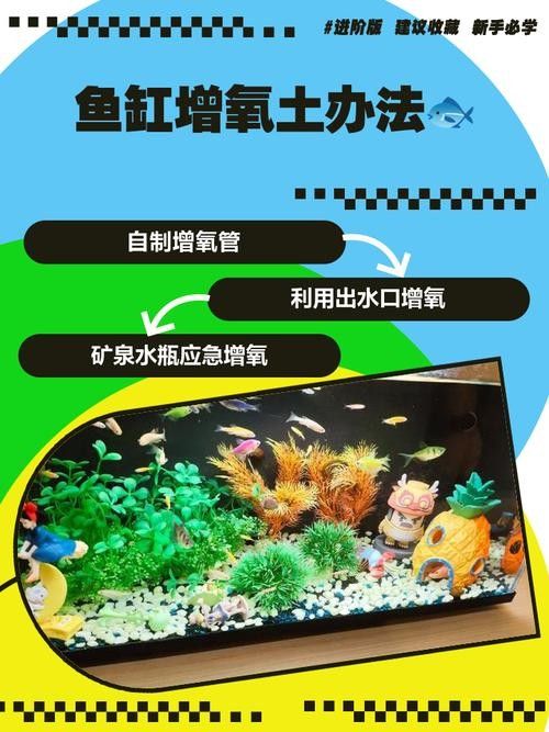 龍魚缸中的植物需要施肥嗎(魚缸中的植物是否需要施肥取決于多種因素) 龍魚百科 第8張 龍魚缸中的植物需要施肥嗎(魚缸中的植物是否需要施肥取決于多種因素) 龍魚缸中的植物需要施肥嗎(魚缸中的植物是否需要施肥取決于多種因素) 龍魚百科 第8張