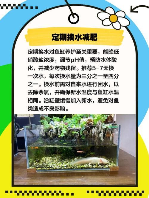 龍魚缸中的植物需要施肥嗎(魚缸中的植物是否需要施肥取決于多種因素) 龍魚百科 第7張 龍魚缸中的植物需要施肥嗎(魚缸中的植物是否需要施肥取決于多種因素) 龍魚缸中的植物需要施肥嗎(魚缸中的植物是否需要施肥取決于多種因素) 龍魚百科 第7張