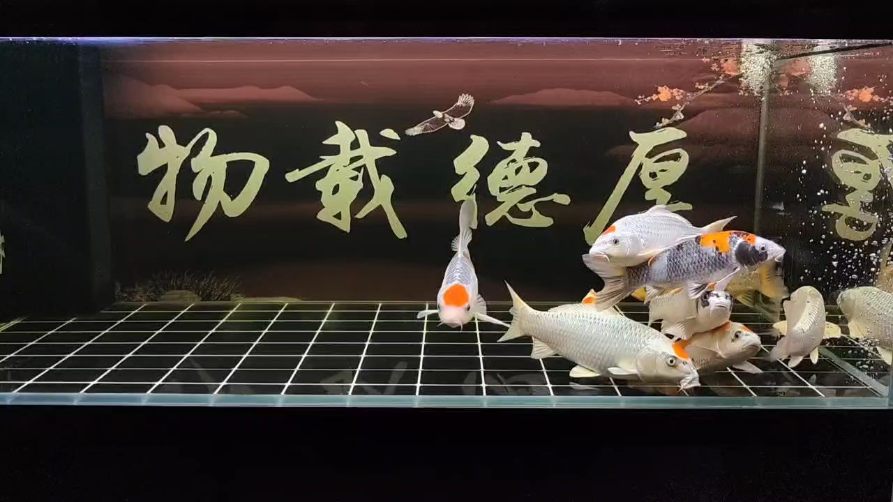 打卡（打卡文化與現代生活）