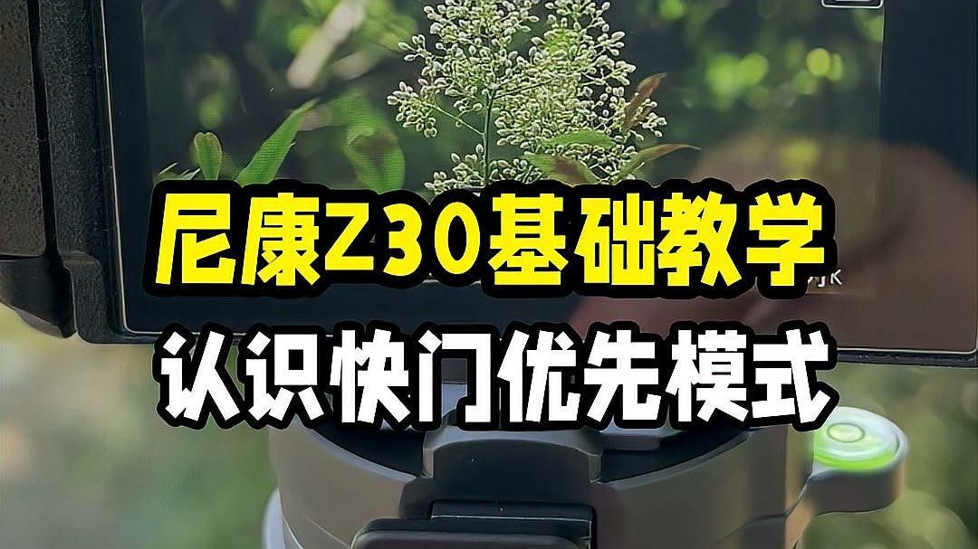如何設置相機的快門優先模式？（如何設置相機快門優先模式）