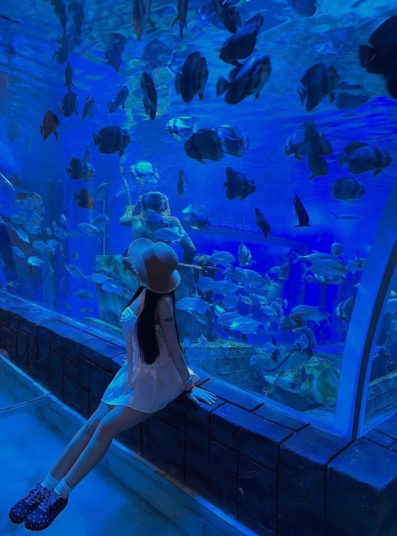 東莞哪個水族館龍魚好？祥龍魚場龍魚（東莞海立方環游城祥龍魚場vwww.xiantianan）