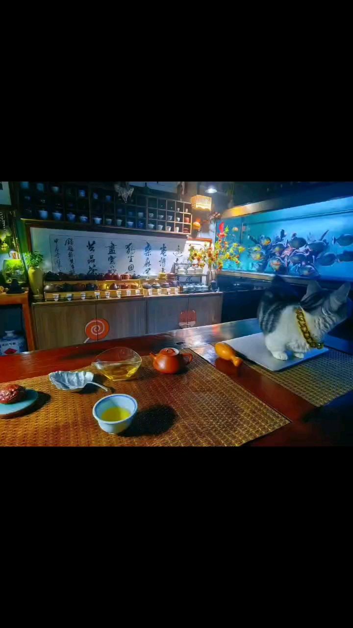 茶室，魚房隔壁的辦公室……（一間茶室與魚房相鄰的辦公室）