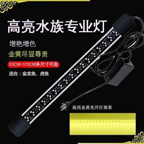 金龍魚(yú)專業(yè)燈光品牌推薦（金龍魚(yú)專業(yè)燈光品牌排行榜京東led魚(yú)缸潛水燈品牌排行榜）