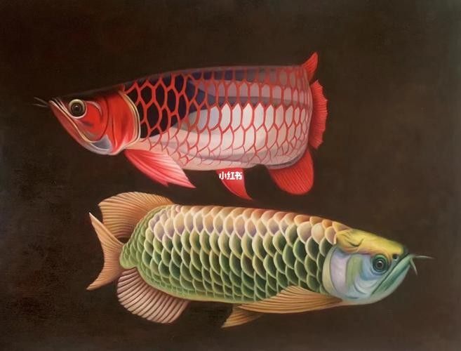 有哪些知名的金龍魚畫作（中國畫金龍魚題材的知名畫作及其特點）