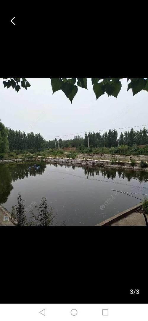 如何聯系到濟寧龍魚垂釣園（濟寧龍魚垂釣園5.0濟寧市部分垂釣園聯系方式供參考）