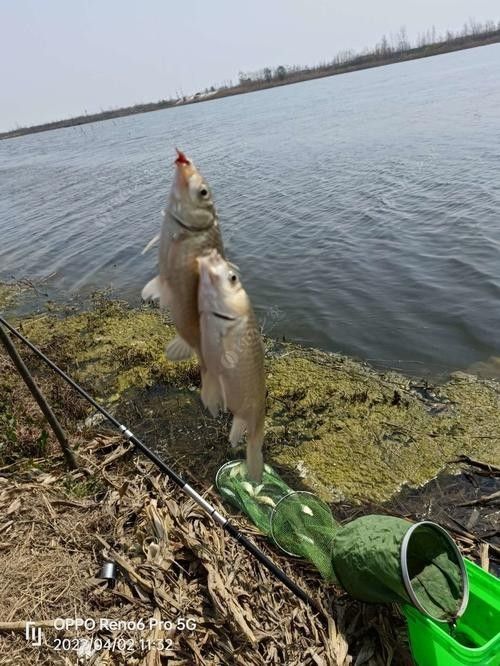 如何聯系到濟寧龍魚垂釣園（濟寧龍魚垂釣園5.0濟寧市部分垂釣園聯系方式供參考）