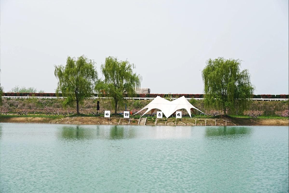 如何聯系到濟寧龍魚垂釣園（濟寧龍魚垂釣園5.0濟寧市部分垂釣園聯系方式供參考）
