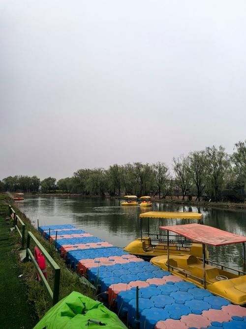 如何聯系到濟寧龍魚垂釣園（濟寧龍魚垂釣園5.0濟寧市部分垂釣園聯系方式供參考）