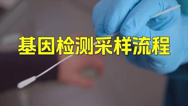 龍魚基因檢測后多久出結果？（龍魚基因檢測一般流程） 龍魚基因檢測后多久出結果？（龍魚基因檢測一般流程） 龍魚百科 第2張