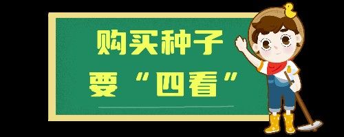 立達金龍魚證書上有哪些信息（立達金龍魚證書有效期是多久？）