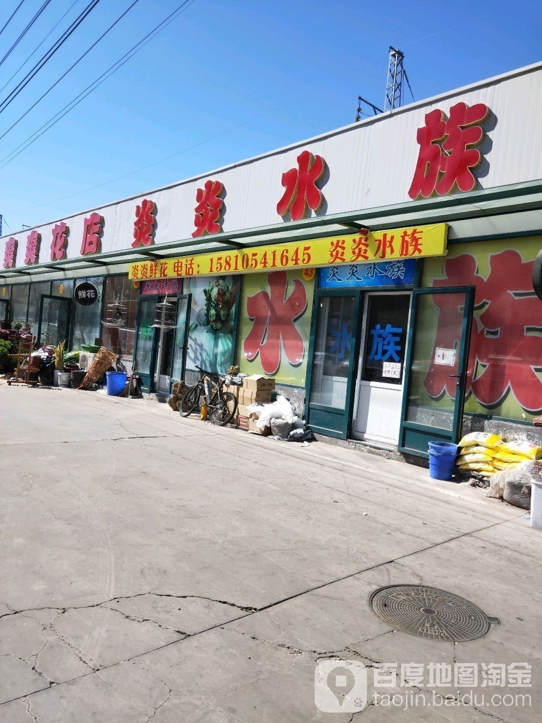 龍虎匯水族館的聯系方式（關于龍虎匯水族館的聯系方式） 龍虎匯水族館的聯系方式（關于龍虎匯水族館的聯系方式） 龍魚百科 第1張