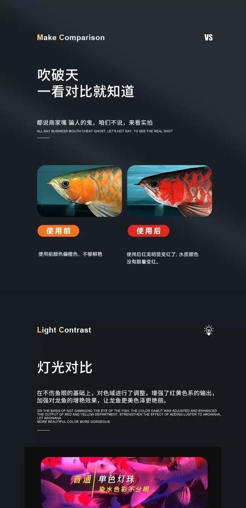 如何判斷金龍魚專用燈的好壞（藝陽水族紅龍魚專用燈怎么選金龍魚專用燈品牌排行榜）