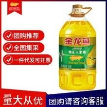 廣州金龍魚批發有哪些優惠政策（廣州金龍魚批發的優惠政策）