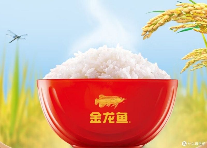 金龍魚軟香米有哪些烹飪方法？（金龍魚軟香米的幾種烹飪方法） 金龍魚軟香米有哪些烹飪方法？（金龍魚軟香米的幾種烹飪方法） 龍魚百科 第3張