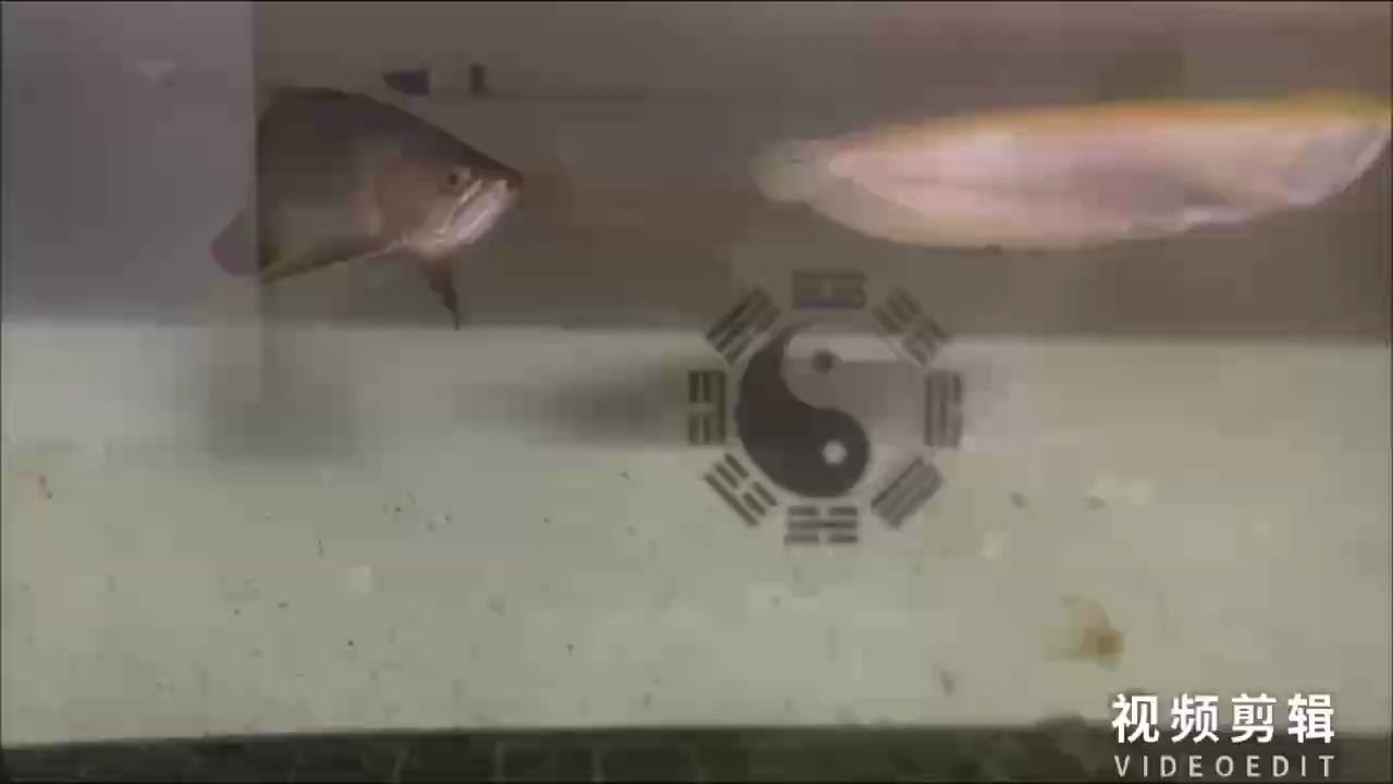 每天打卡（開瓢手馬克評論：每天打卡的重要性與影響，在現代社會）