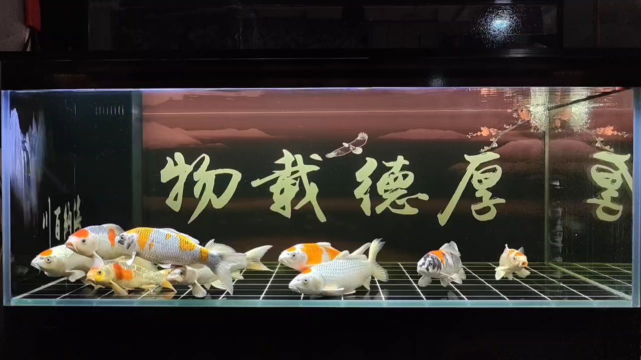 打卡（打卡文化的社會(huì)學(xué)分析） 打卡（打卡文化的社會(huì)學(xué)分析） 龍魚論壇