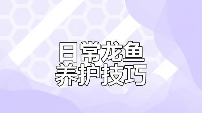 飼養(yǎng)印尼小紅龍魚(yú)需要注意什么（印尼小紅龍魚(yú)飼養(yǎng)中的十個(gè)常見(jiàn)問(wèn)題與養(yǎng)殖經(jīng)驗(yàn)分享）