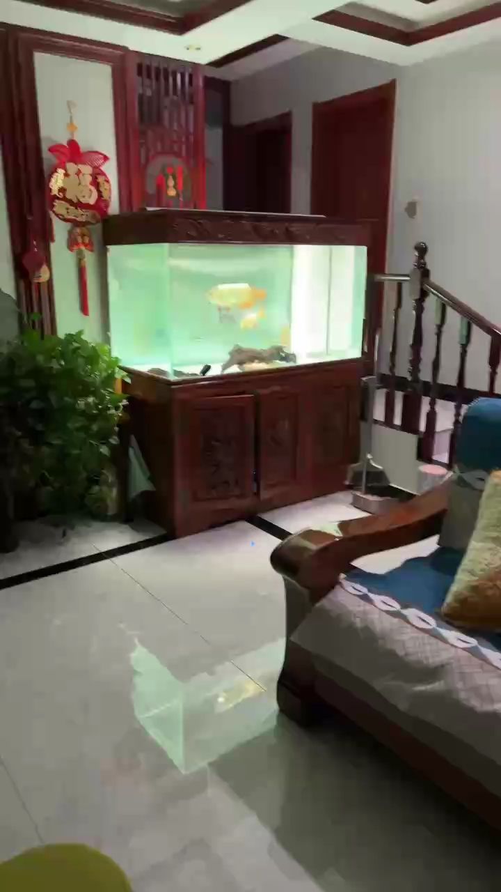 魚缸過濾器選購指南:自制魚缸過濾器魚缸上置過濾器對于養魚愛好者的必備知識 看會(人工智能、機器學習、量子計算等前沿技術正逐步改變我們的生活和工作方式) 龍魚論壇 看會(人工智能、機器學習、量子計算等前沿技術正逐步改變我們的生活和工作方式) 看會(人工智能、機器學習、量子計算等前沿技術正逐步改變我們的生活和工作方式) 龍魚論壇