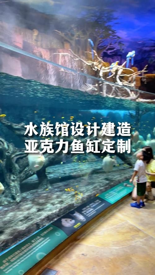 澳門哪個水族館龍魚好？祥龍魚場龍魚（澳門哪個水族館最適合觀賞龍魚養殖場，祥龍魚場品質更具優勢）